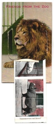 Leporello-AK Friends from the Zoo, Tiger, Lion, Camel, Polar Bear and Rhinocero 