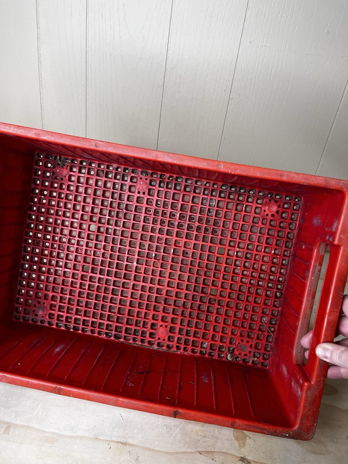 Vintage Double Cola Soda Bottle Crate Plastic Red holds 16 Bottles *READ