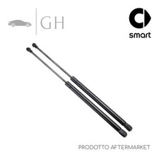 COPPIA MOLLE A GAS /PISTONCINI AMMORTIZZATORI LUNOTTO POST SMART FORTWO 453 2015