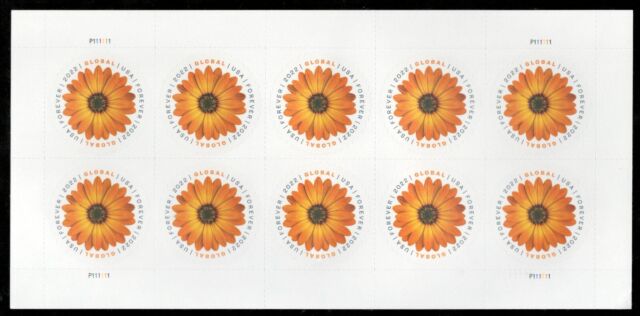 US. 5680. (Global Forever Rate).African Daisy. Sheet of 10. MNH. 2022