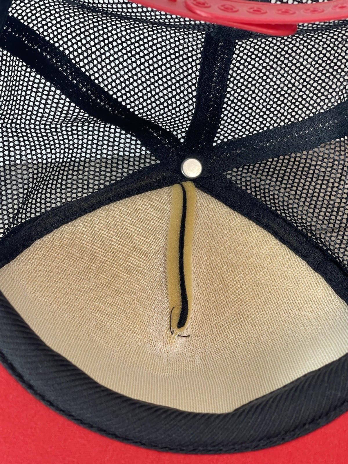 Picture 7 of 7