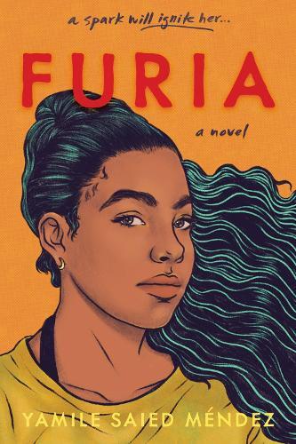 Yamile Saied Mendez Furia (gebundene Ausgabe)