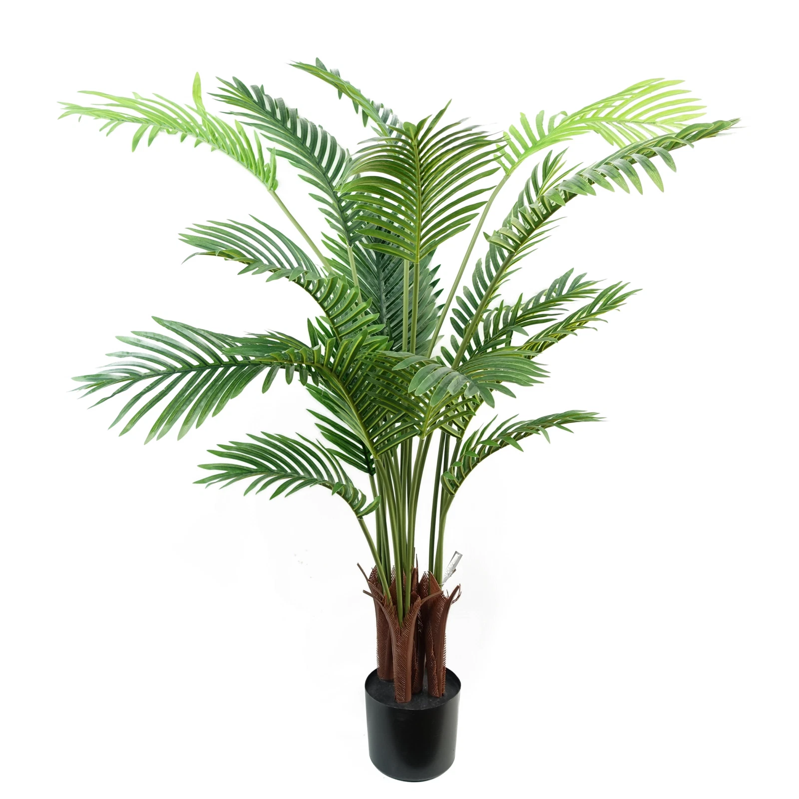 110cm Areca - 40441