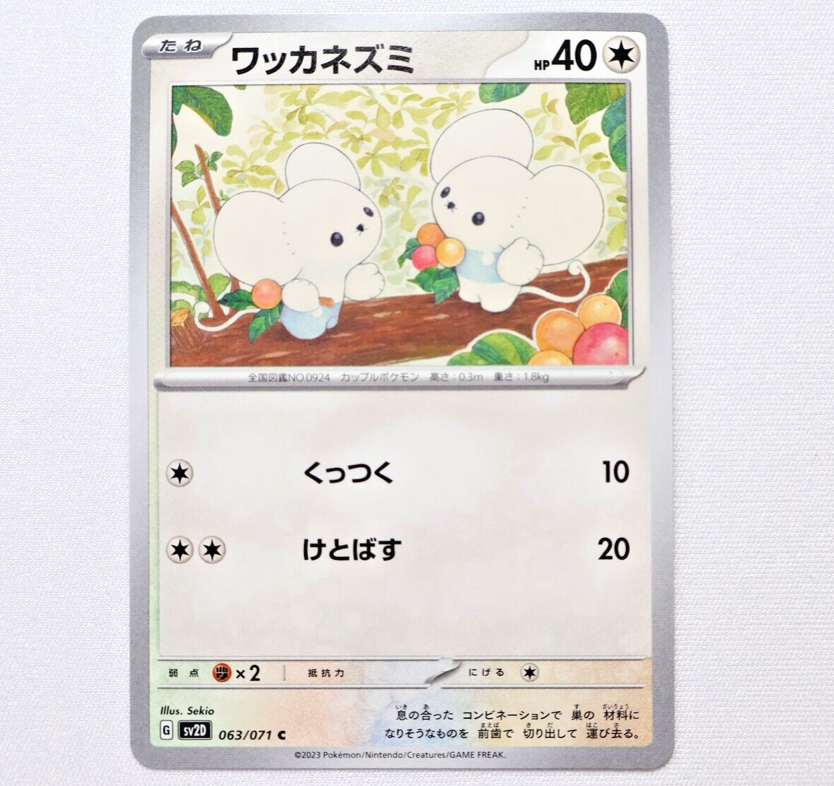 sv2D 063/071 Tande mouse (Wakkanezumi) Pokemon Card TCG sv2D 063/071 Tande mouse (Wakkanezumi) Pokemon Card TCG