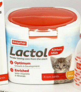 lactol for kittens
