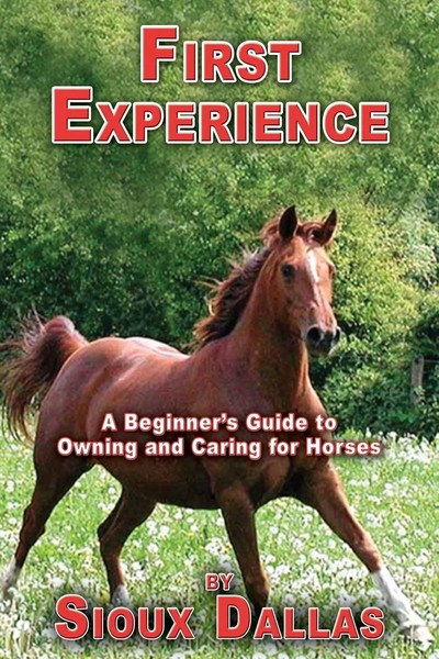 First Experience | A Beginner's Guide To Owning And Caring For Horses | Dallas-image