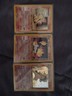 Pokemon Cyndaquil Quilava Typhlosion