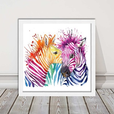 Zebras mehrfarbiger gerahmter Bilddruck. Colour Splash weißer Hintergrund