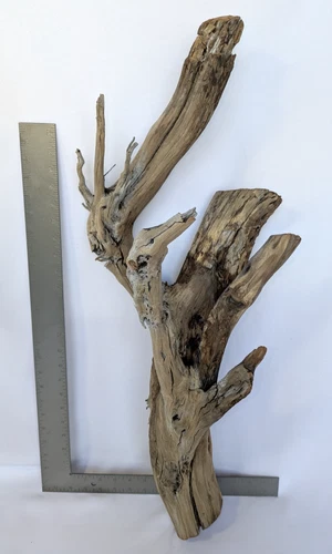 Driftwood Manzanita 29.5" Aquarium Hardscape Terrarium LARGE Nature Decor Perch