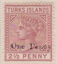 (F199-17)1889 Turks Islands  1d on2 1/2d red brown QVIC stamp MH(Q)