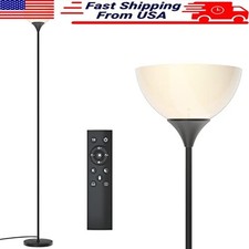 Dimmable Floor Lamp Remote Control Adjustable Brightness Color Temperature LED