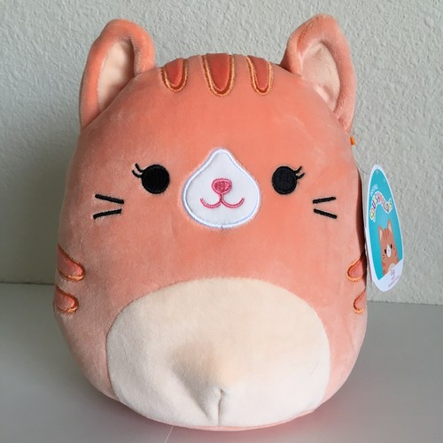 tabby cat squishmallow name