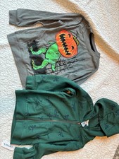 Boys' Dinosaur Shirt  Hoodie Set Size 5t/4-5 409