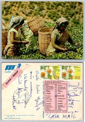 Vintage 1986 Sri Lanka Tea Pluckers Postcard, J.L. Morison Son & Jones