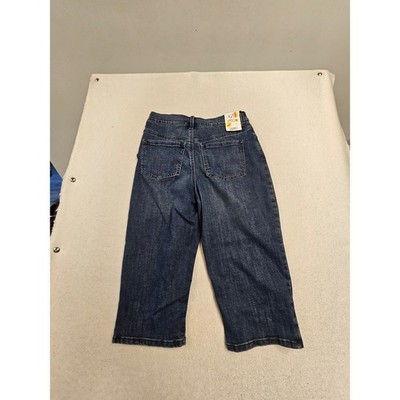 Gloria Vanderbilt Amanda Skimmer Jeans Rome Wash Slimming Panel NWT Size 4