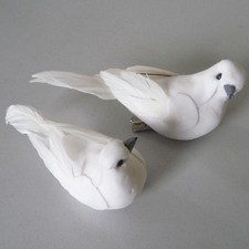 Colombe Süsseturteltauben Florencia Decorazione Matrimonio Battesimo Bianco