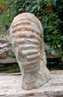 Bild 7 von 10