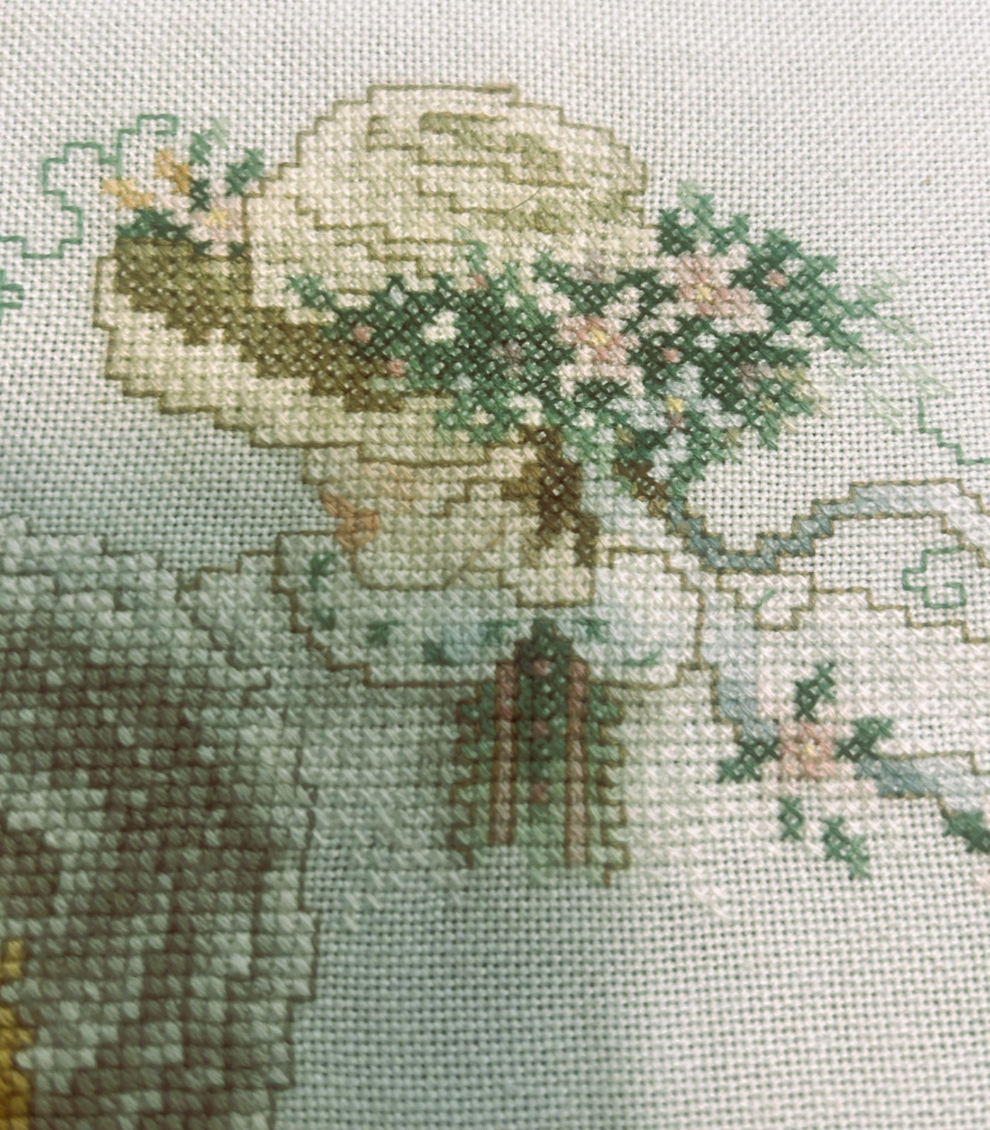 Picture 6 of 6