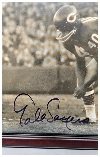 Foto autografiada 8x10 de Gale Sayers enmarcada - Chicago Bears - certificado de autenticidad incluido Foto 2 de 3