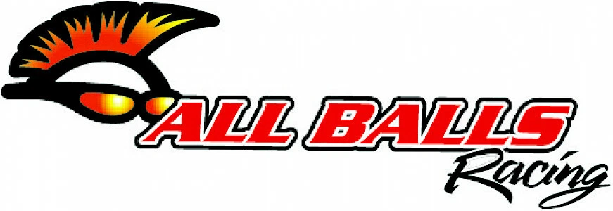 KIT CUSCINETTI DI STERZO E PARAPOLVERE PER DUCATI F1 750 1985-1988 - Изображение 2 из 3