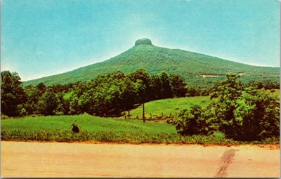 Pilot Mountain Western North Carolina Postcard