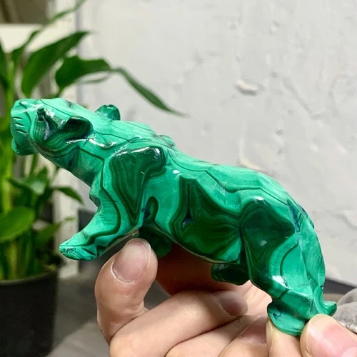 241G   Natural Malachite transparent hand carved leopard crystal cluster mineral