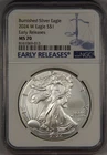 2024-W Burnished Silver Eagle Dollar NGC MS70 Early Releases $1