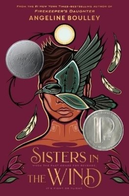 Angeline Boulley Sisters in the Wind (Hardback)