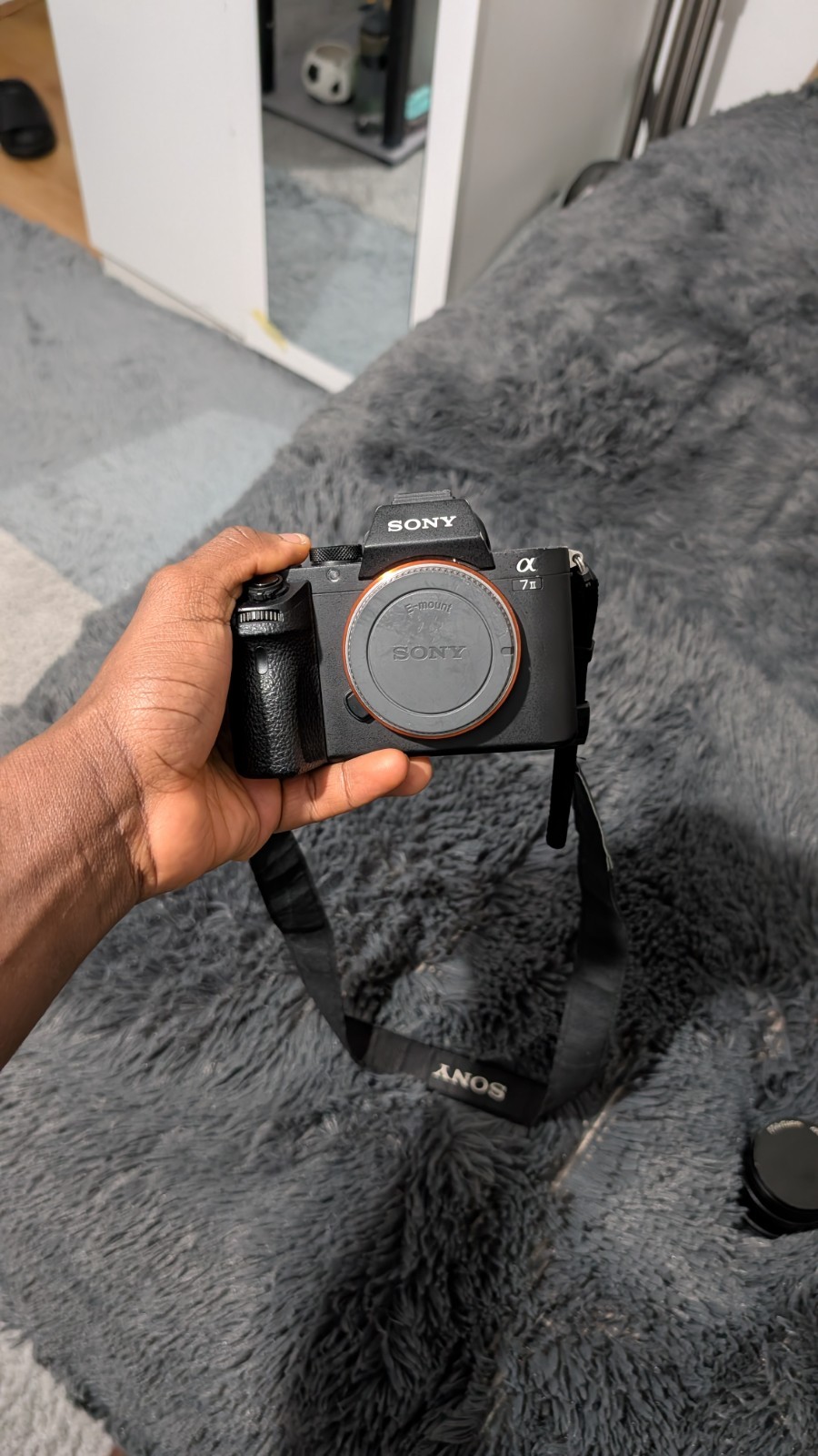 Sony A7 ii Mirrorless