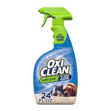 Pet Stain and Odor Remover Spray for Carpet and Rug, 24 fl oz