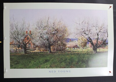 Ned Young  - Cherry Blossoms-  1991  - Offset Poster- Art Beats