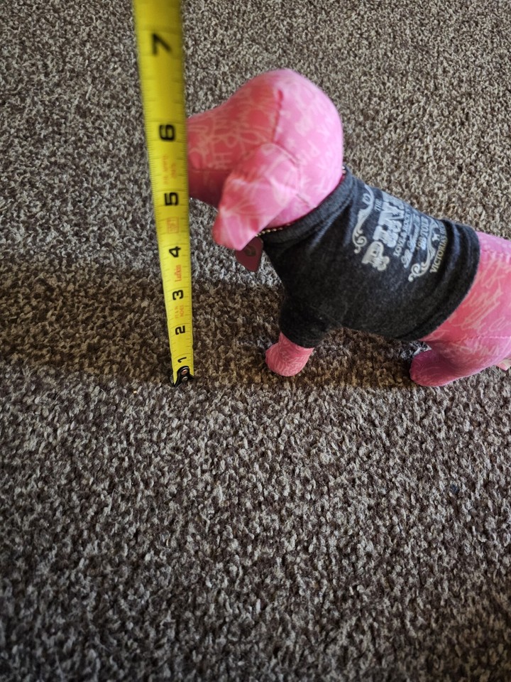 Victoria's Secret Pink Dog Puppy Love & Rock N Roll 86 Tour Plush