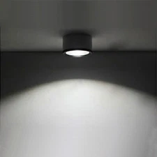 5W LED COB Ceiling Lamp Fixture Cabinet Picture Light Indoor Downlight Hallway