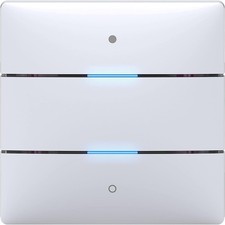 Theben Tastsensor iON 102 KNX, 2 Tasten, 2 Status-LEDs, Temperatursensor, weiß