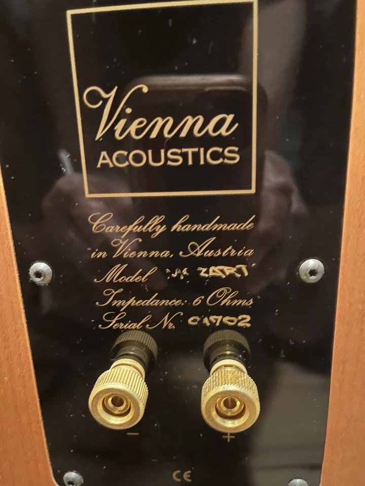 Viesnna Acoustic Floor Standing Speakers for Home - Image 4 of 4