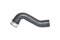 Bugiad Ladeluftschlauch 87603 FüR Passat Scirocco Golf VW EOS 5M1 Plus Jetta 5 3