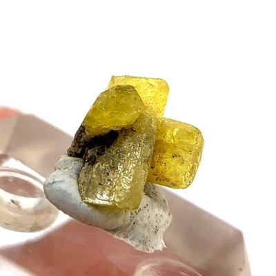 Spectacular Bright Yellow Thumbnail Legrandite Cluster- Ojuela Mine, Mexico