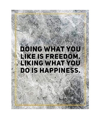 Doing what you like is freedom. Liking what you do is happiness.: College Ruled 