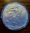 2004 1 oz Silver American Eagle (Brilliant Uncirculated)
