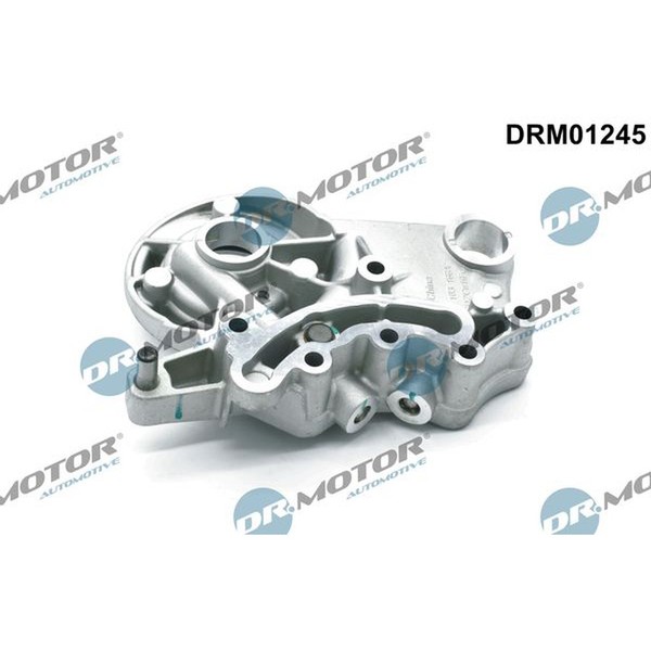 Dr.Motor Automotive DRM01245 Lagerbock, Nockenwelle-image