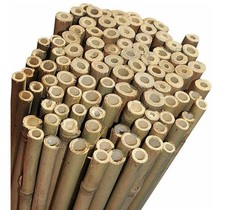 NG NICCOLAI CANNE BAMBOO PER SOSTEGNO ORTAGGI ARREDAMENTO E ALTRI USI VARIE