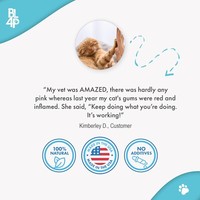 Cat Dental Care & Bad Breath Remedy 2