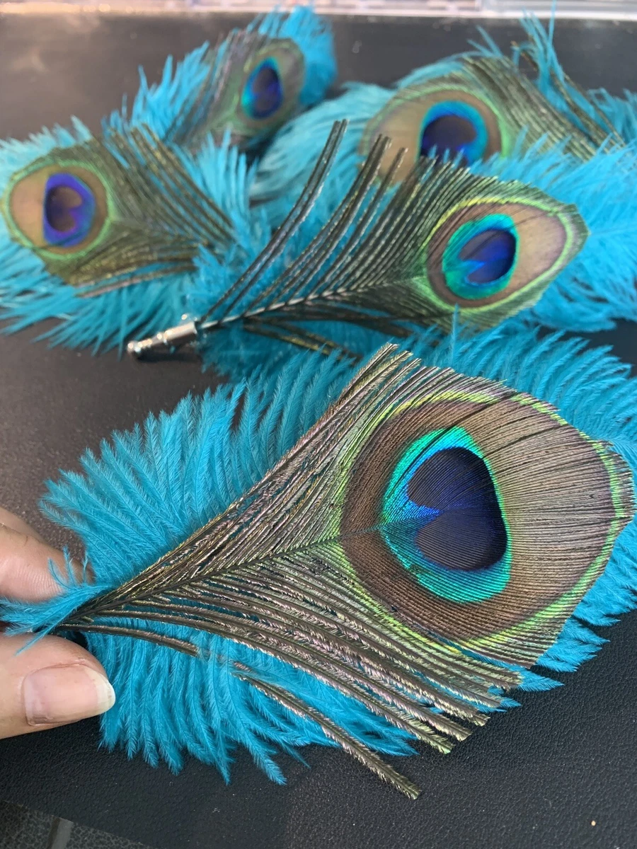 Peacock feather pin deals
