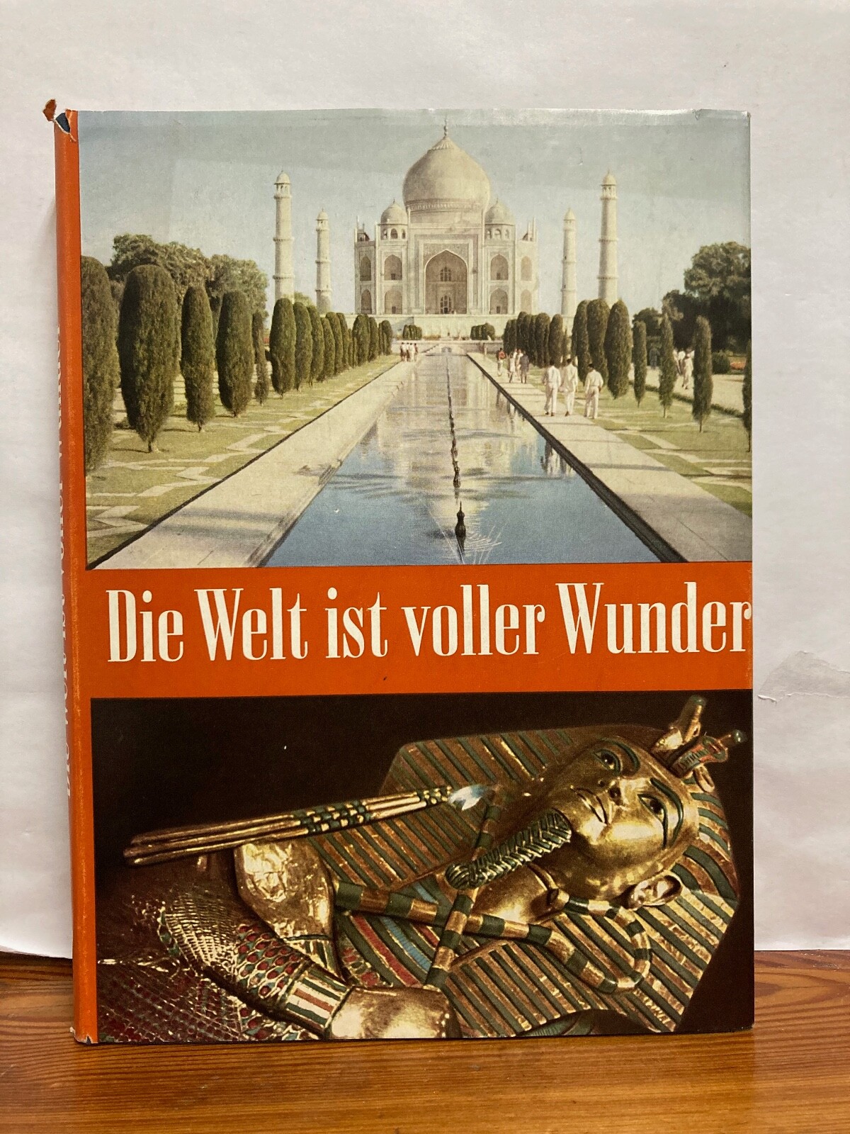 Die Welt ist voller Wunder Theodor Müller-Alfeld