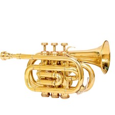 brass pocket trumpet with a mouthpiece and a carry case