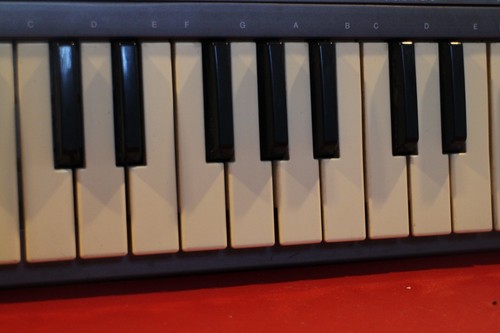 USED Yamaha SHS-10 SHS 10 Synthesizer Shoulder Keyboard U2700 250801 - Picture 7 of 12