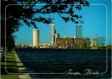 Tampa FL View of Skyline City Postcard Unused (29905)