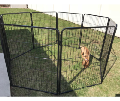 big dog pen