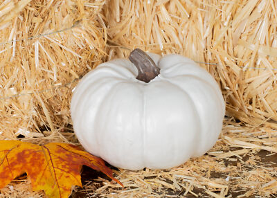 Set of 4 Ivory 6 Inch Decorative Resin Harvest Pumpkins (White) (4