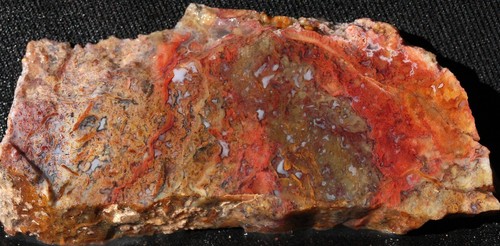 A277 ~ Agata muschio multicolore lastra spessa 1,7 oz ~ Messico - Foto 1 di 8